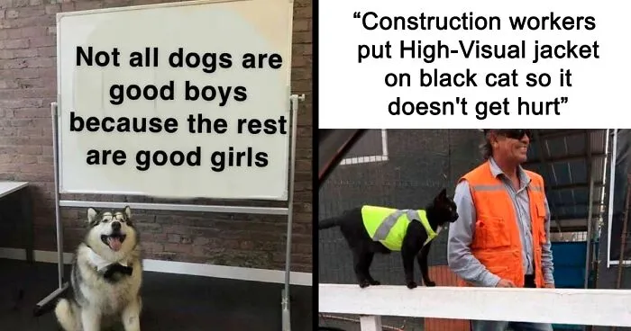 40 Wholesome Memes And Posts That Remind Us The World Isn’t All Bad, As Shared In This Facebook Group