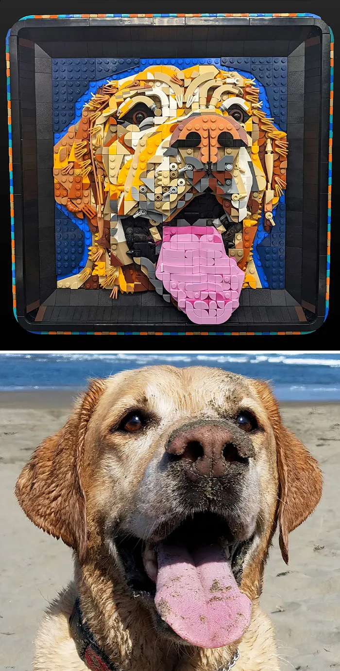 Un retrato para conmemorar a mi mejor amigo Arden, que falleció a principios de este año tras una vida larga y llena de aventuras