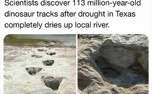 30 Things You Probably Never Knew Existed Shared By "Yup That Exists" Instagram Page (New Pics)
