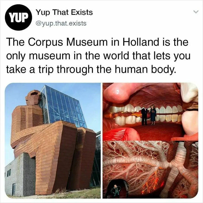 30 Things You Probably Never Knew Existed Shared By "Yup That Exists" Instagram Page (New Pics)