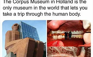 30 Things You Probably Never Knew Existed Shared By "Yup That Exists" Instagram Page (New Pics)