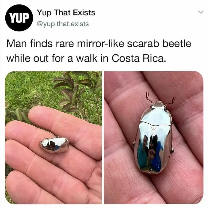 Yup That Exists