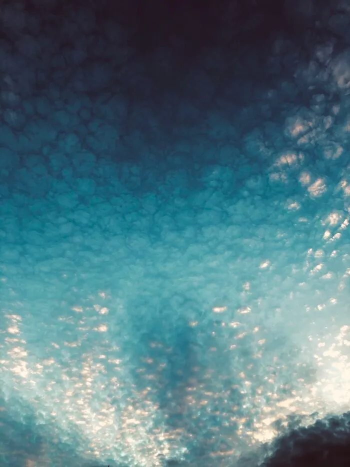 Reminds Me Of Bubbles…