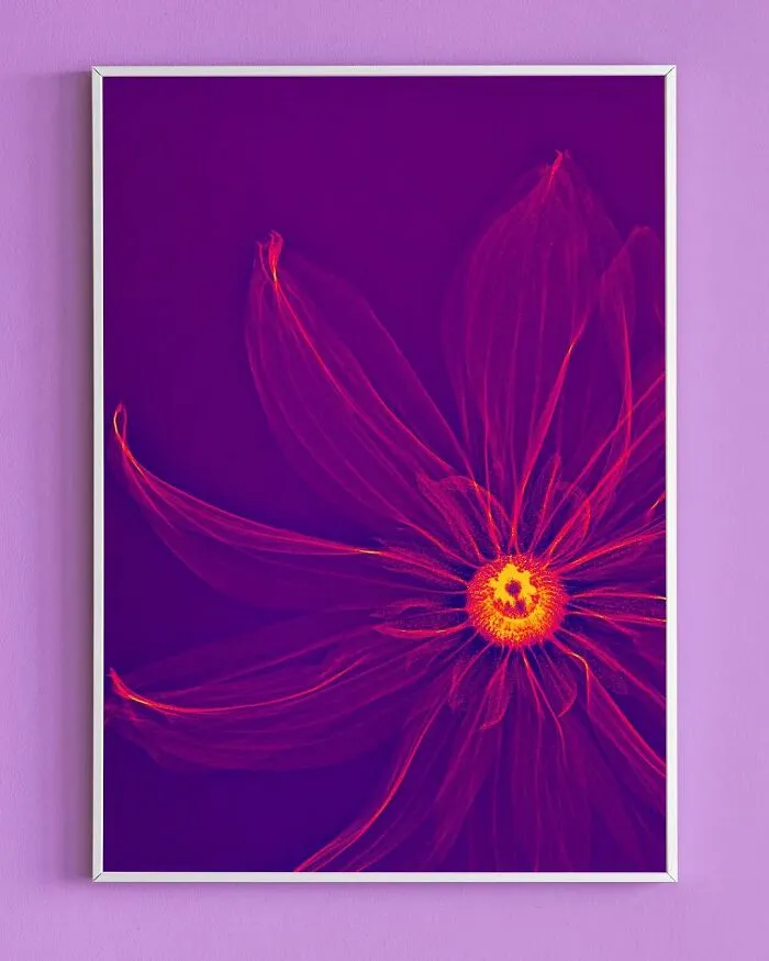 30 Pictures Of Plants That I Took Using X-Ray