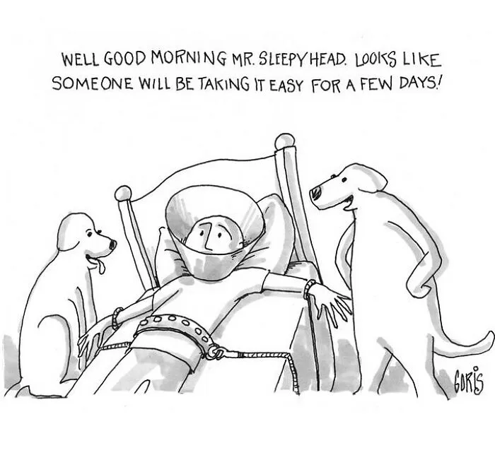 44 Humorous One-Panel Comics By Dennis Goris (New Pics)