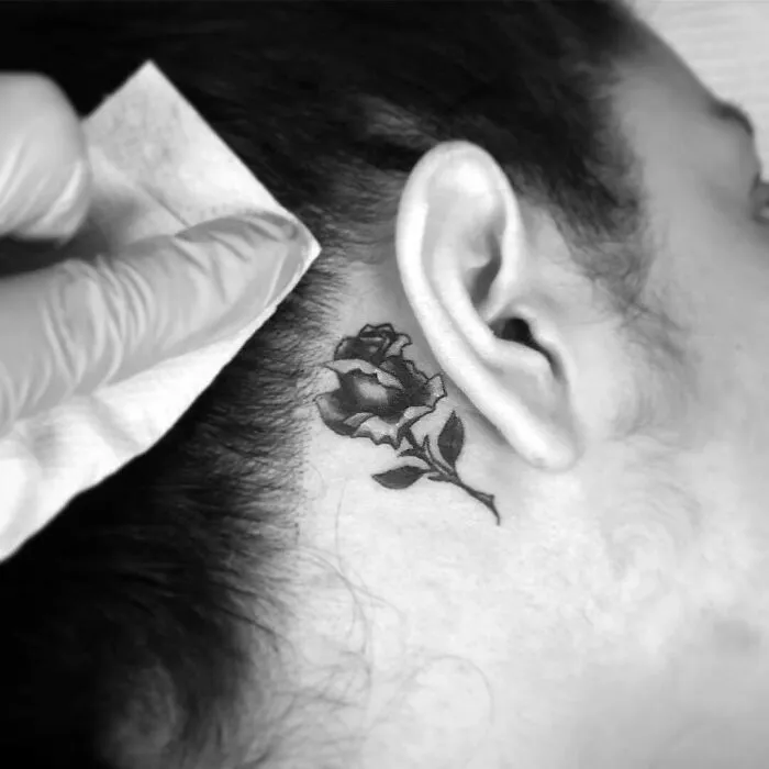 Ear tattoo featuring a detailed black rose design behind the ear, being gently cleaned by an artist wearing gloves.