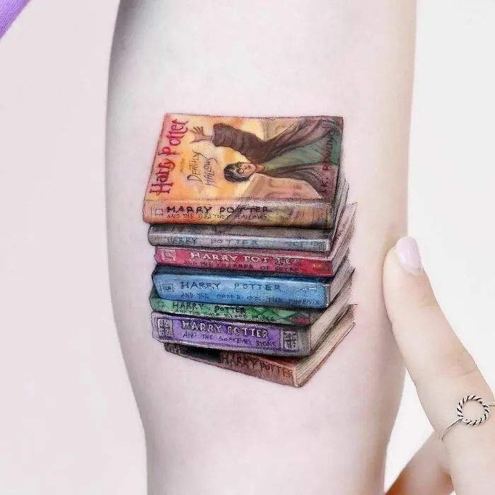 The Harry Potter Collection