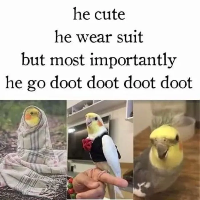 Doot Doot Doot Doot