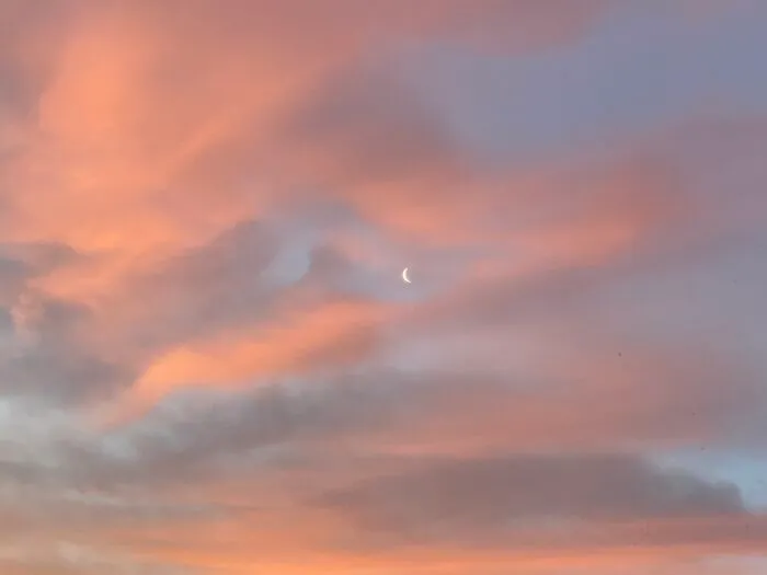 Arizona Sunrise