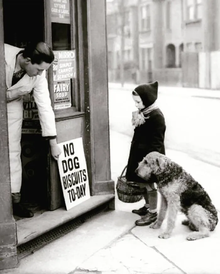 Small girl with a dog reading a sign of the grocery store 