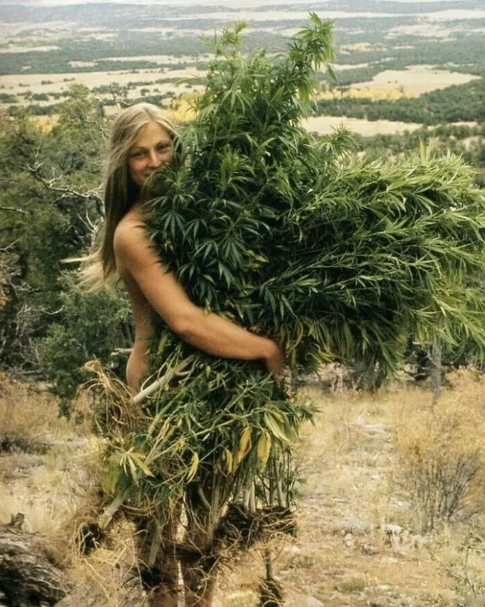 Las damas frondosas de la década de los 70