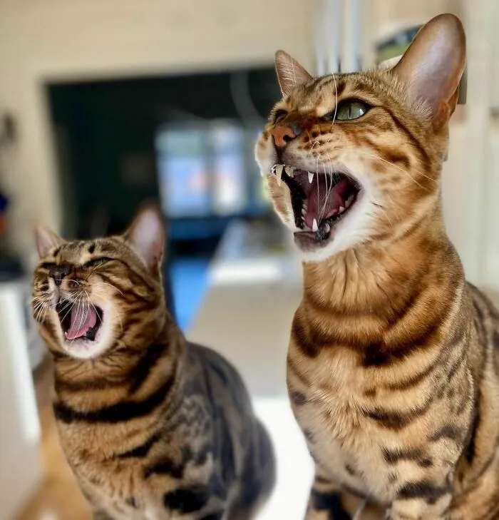 Una & Ernesto