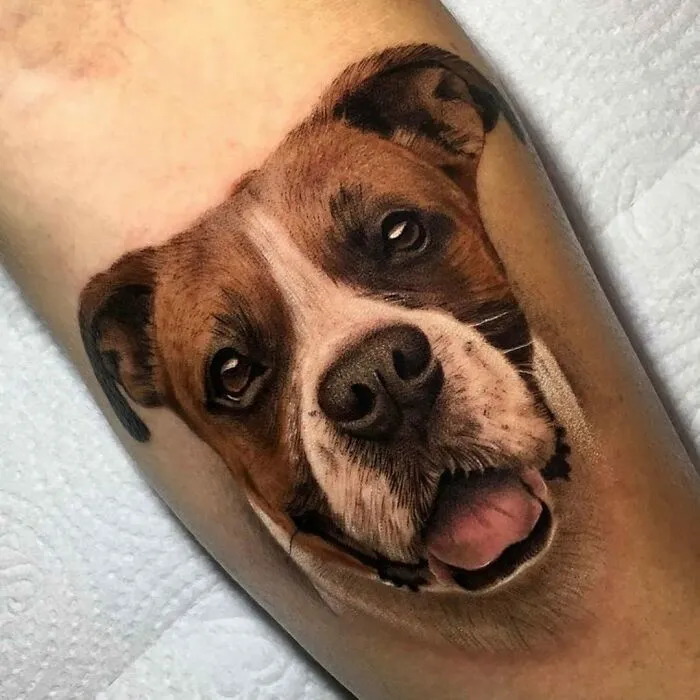 Pet Tattoo