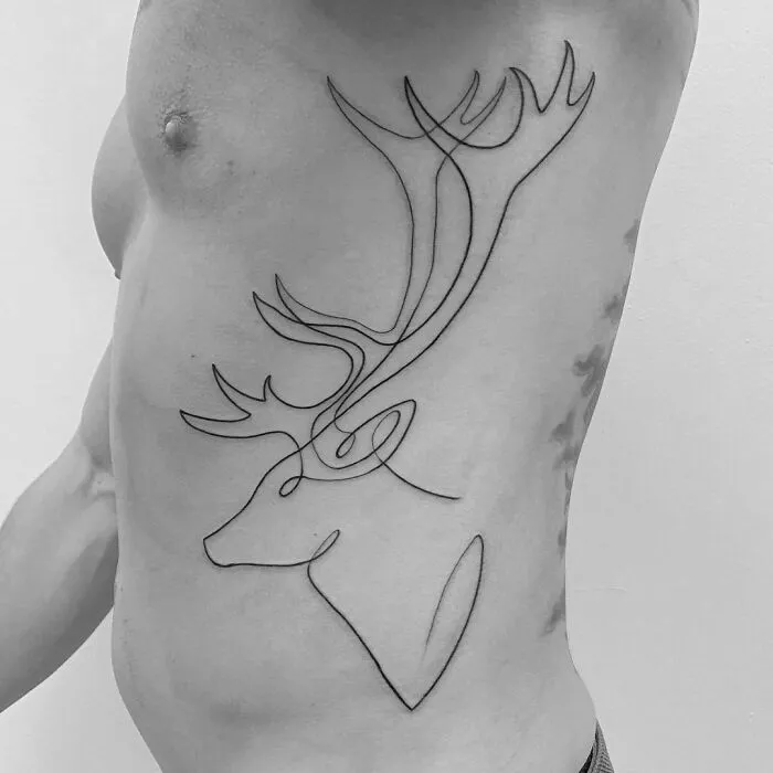 Fine Deer