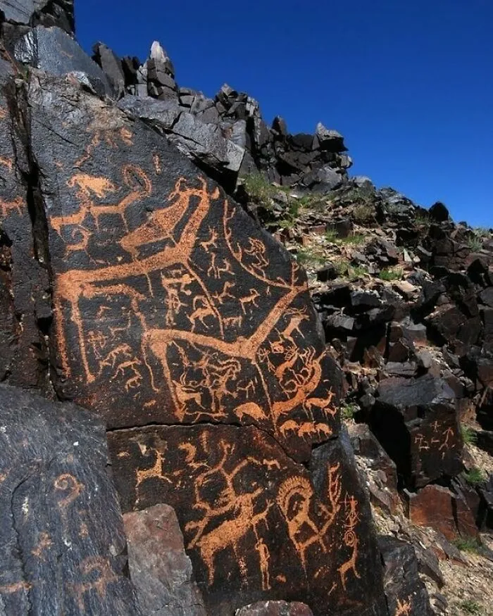 Prehistoric Rock Carving Of A Whole Bunch Of Deer. Bayankhongor, Mongolia