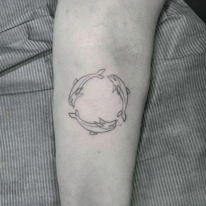 Fine-line perfection tattoo featuring three dolphins in a circular design on an arm.