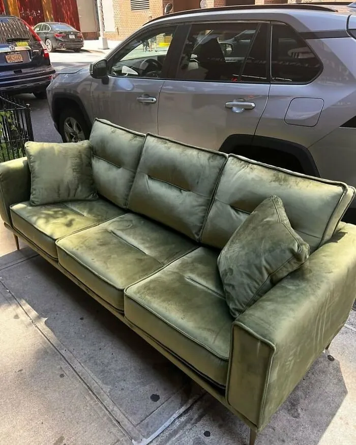 Just Your Daily Velvet Couch