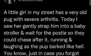 50 Of The Most Heartwarming Posts Shared On The 'Wholesome Meets The Internet' Instagram Account (New Pics)