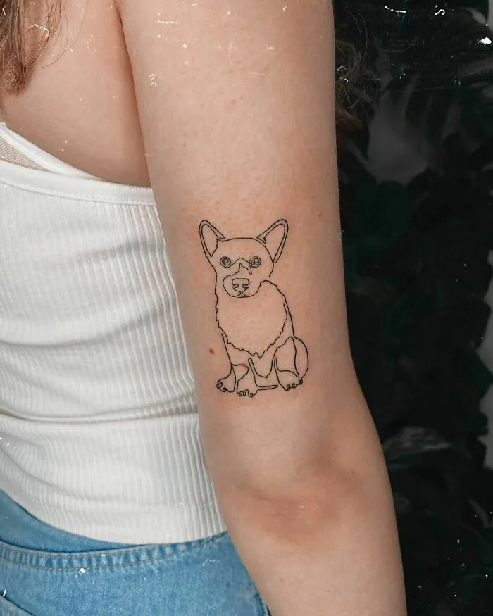 Little Corgi