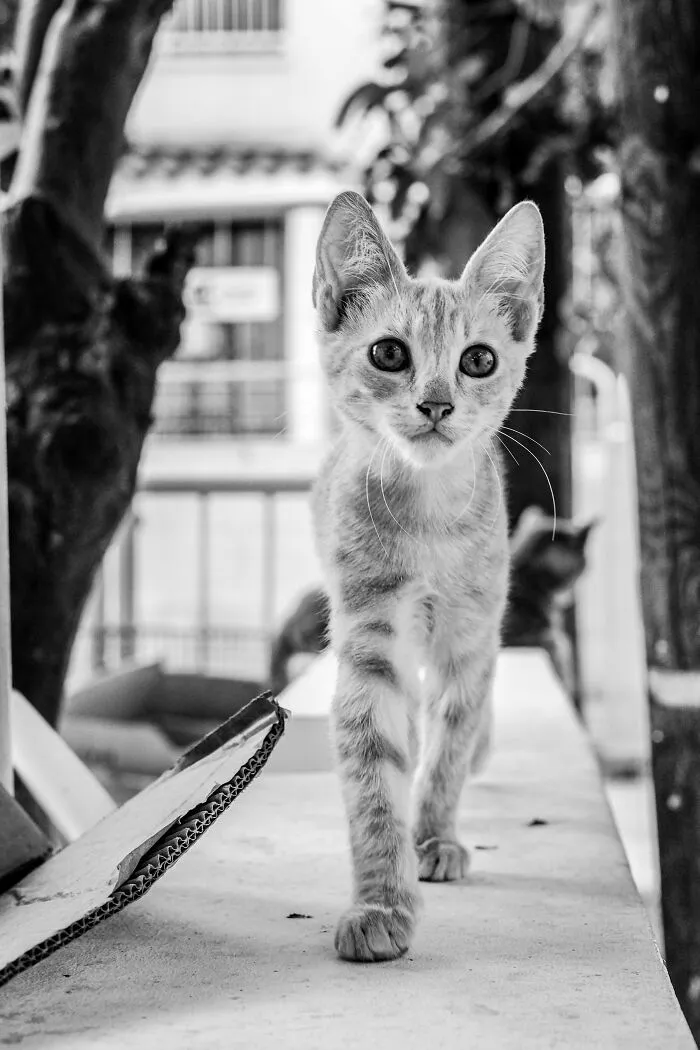 Walking