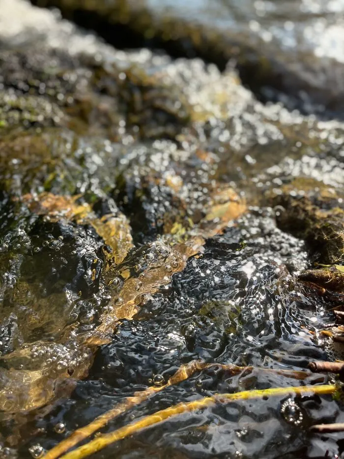 Pictures I’ve Taken Recently (10 Pics)