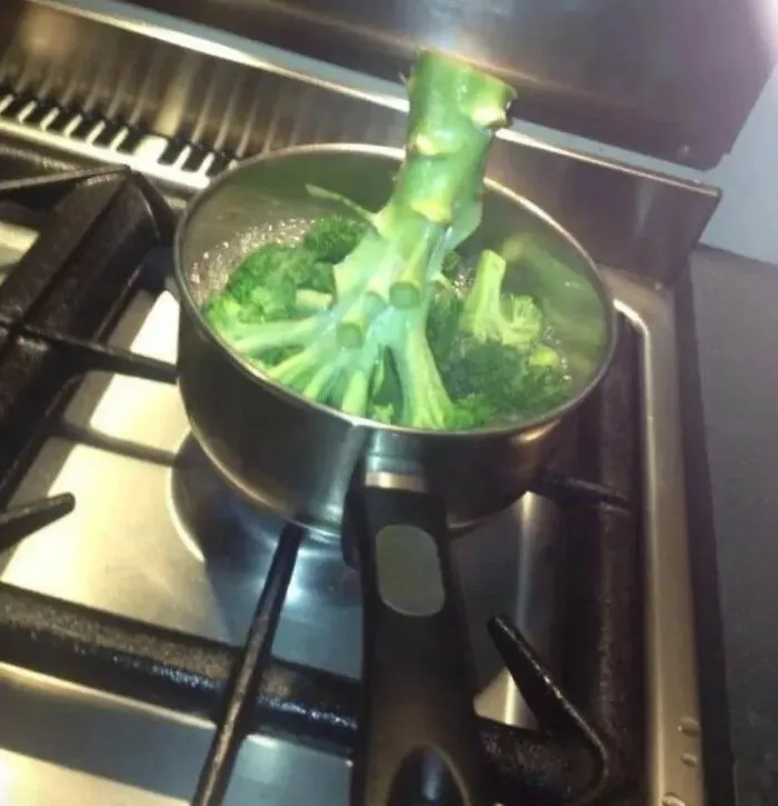 Biggest Kitchen Fails (18 Pics)
