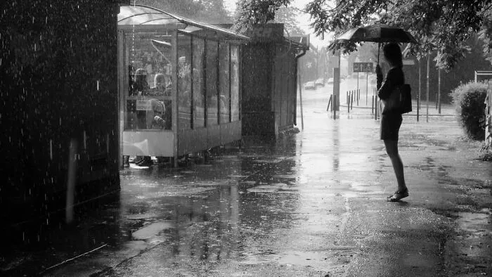Summer Rain