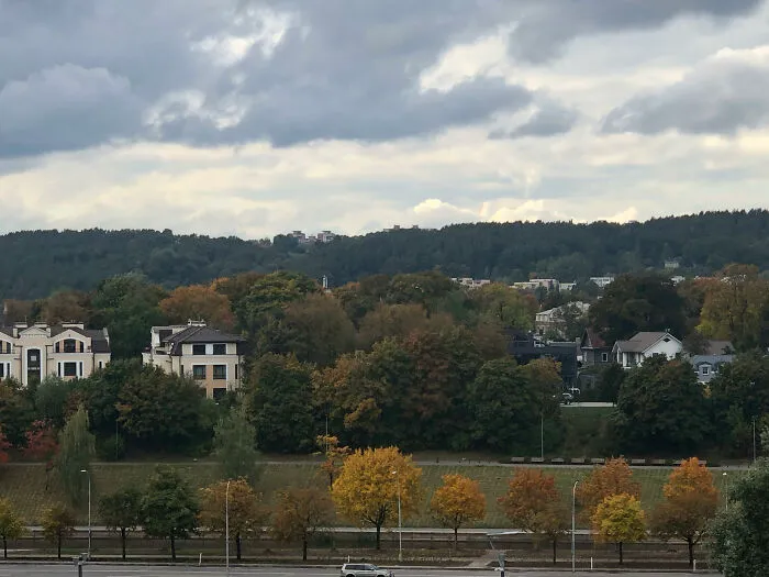 Autumn Vibes, Colorful Trees