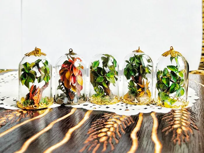 Collection Of Trees