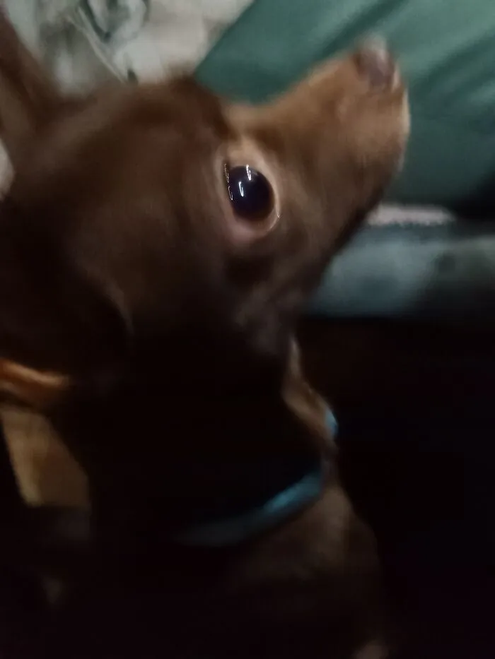It All Started Because I Was Going Through My Emails. .(Her Names Coco Btw)