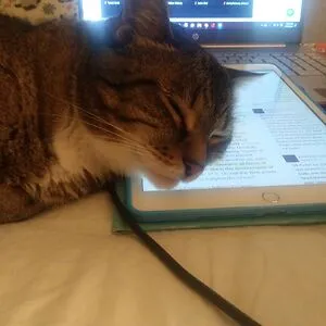 Jynxiecat