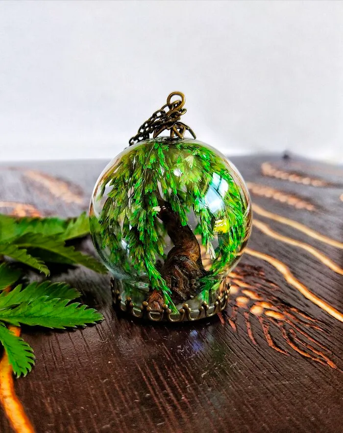Miniature Weeping Willow Tree