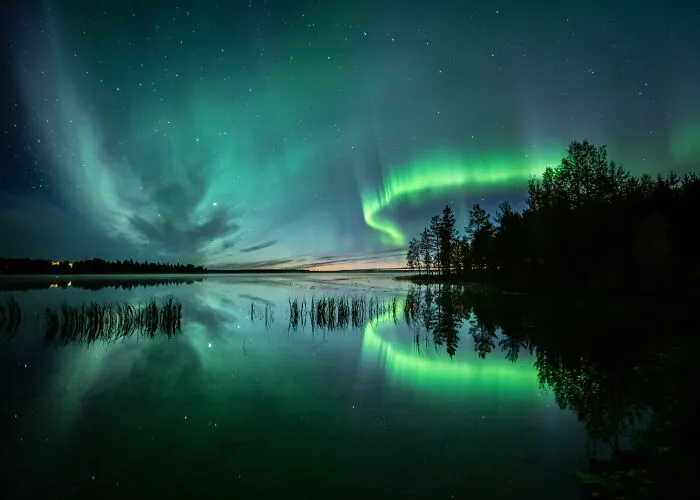Night Show
