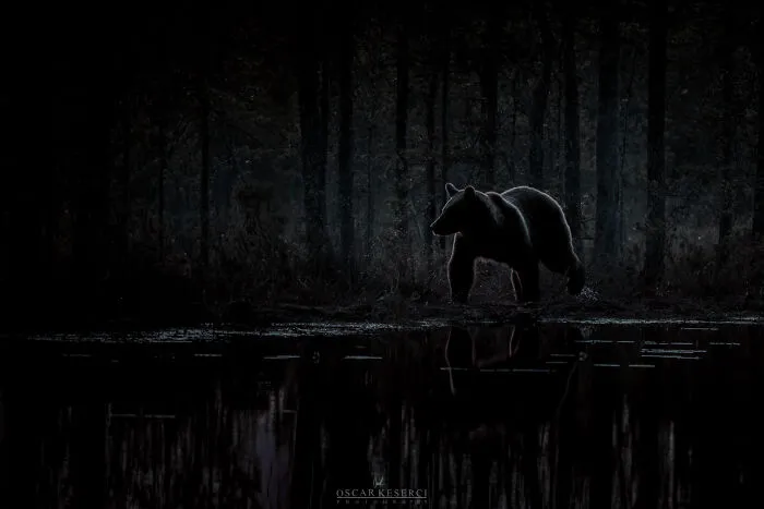 The Running Bear