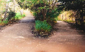 My 22 Surreal Photo Edits That Offer A New Perspective For The Ordinary Things (New Pics)
