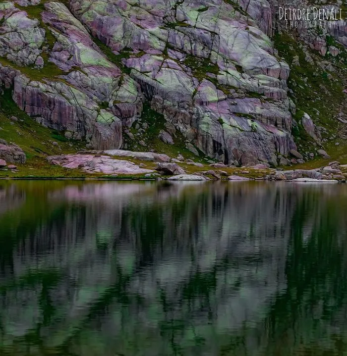 Purple Rock