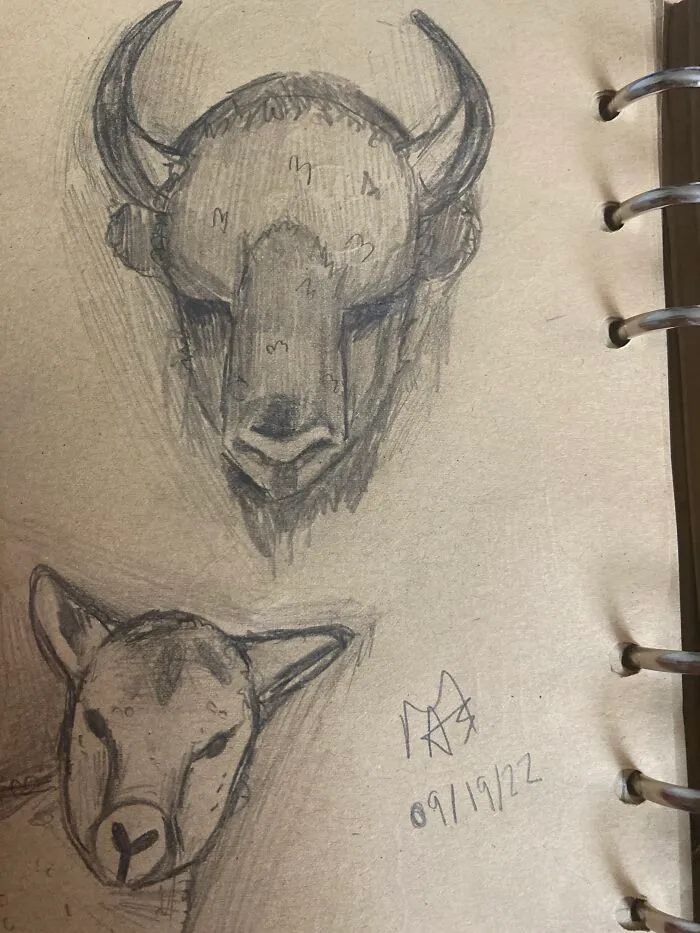 Some Lovely Little Animals
