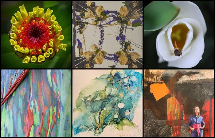 The Colors Of Nature Captured By 114 Artists