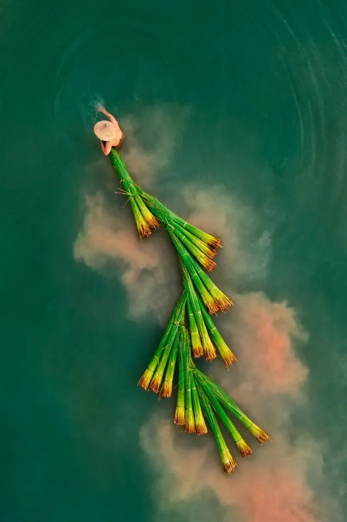 Category: People, Highly Commended, Collecting Bang Grass By Huu Binh Nguyen