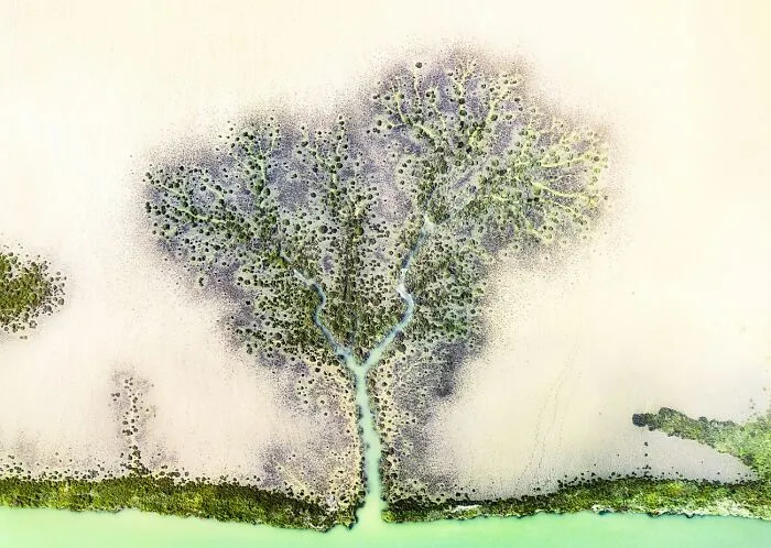 Category: Abstract, Commended, The Tree By Jose Pesquero Gomez