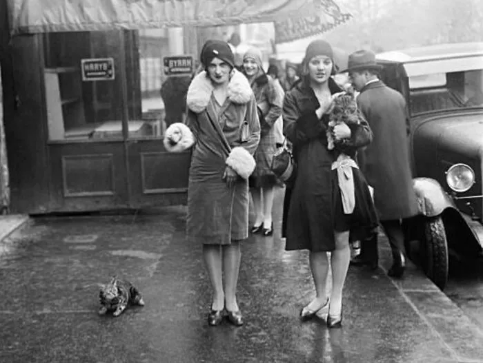 30 Of The Best Photos Shared By This Twitter Account That Collects Historic Photographs Of Cats With Their Stories