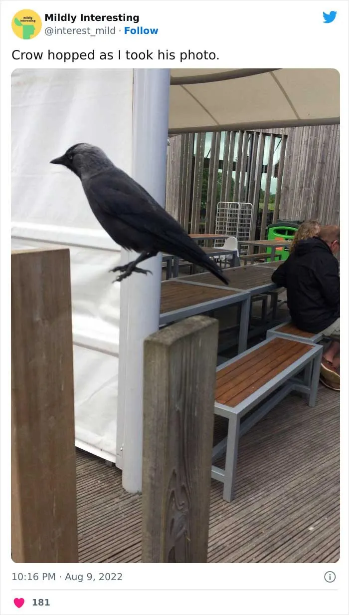 This Twitter Account Posts Things That Are Merely Amusing (40 Pics)