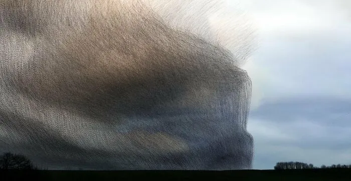 Imágenes creativas: "Cortina de humo" de Kathryn Cooper (Mención especial)