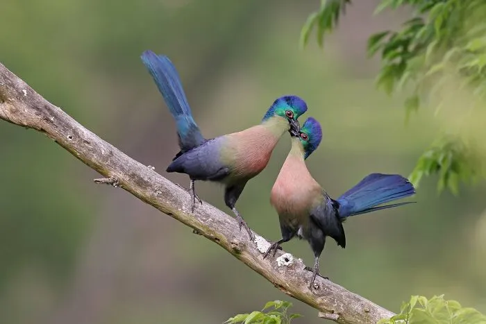 Mejor retrato: "La pareja de enamorados" de Richard Flack (Bronce)