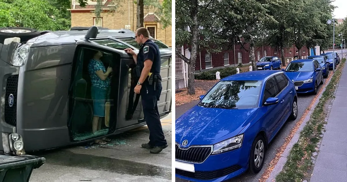 35 Situaciones que parecen salidas de un sueño, compartidas en el grupo “Surrealismo accidental”