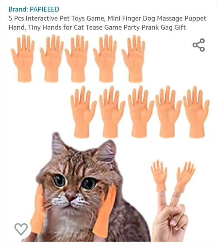 My Wife Was Looking For A Cat Tent