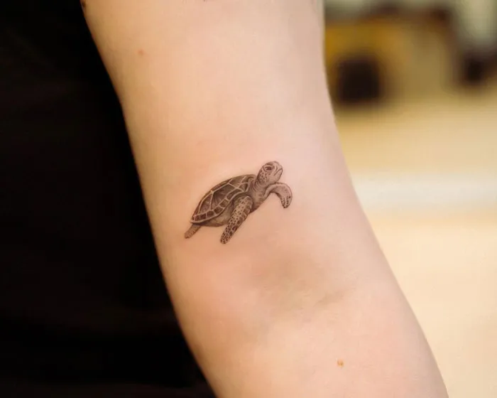Little Turtle