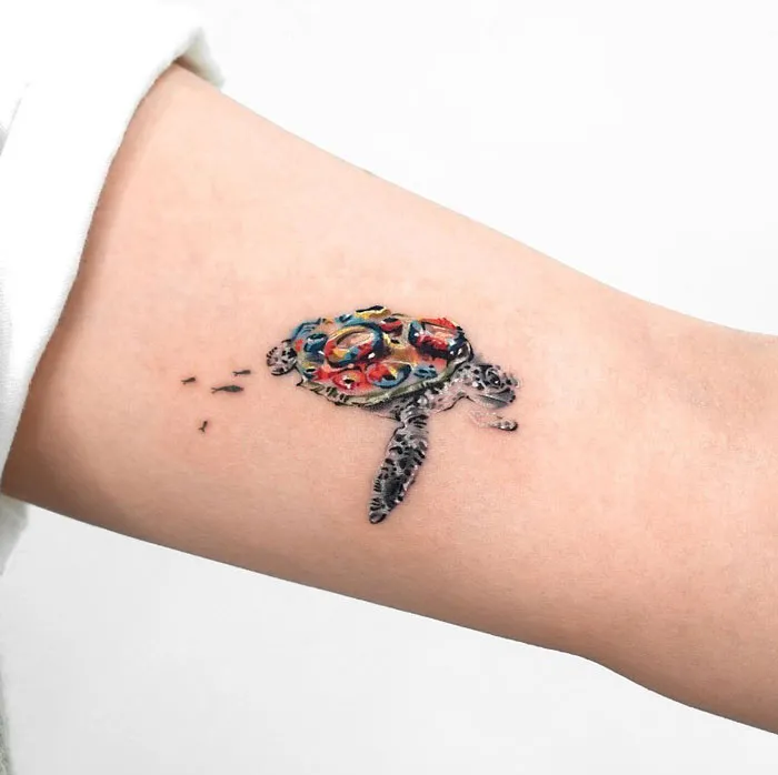 A Tortoise With A Barnacle On Its Shell