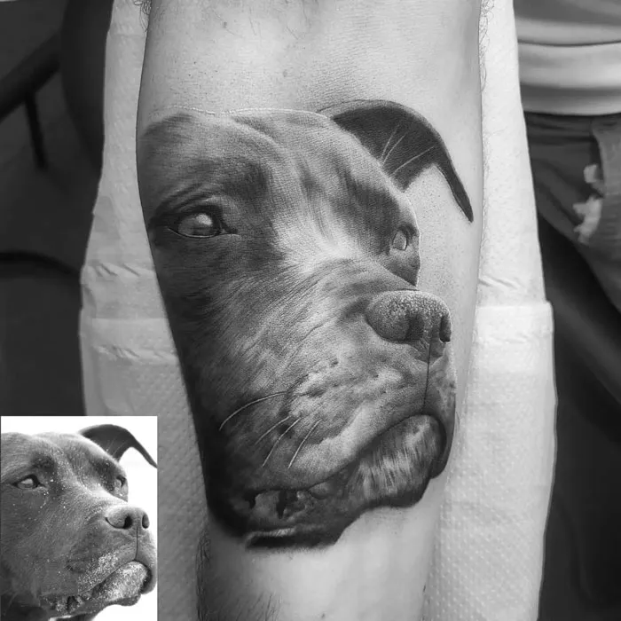 Once You Have Had A Wonderful Dog, A Life Without One Is A Life Diminished. – Dean Koontz