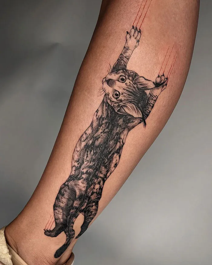 A Mischievous Kitty Scratching Down The Leg